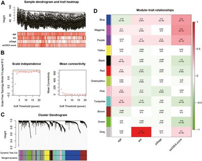 Characterization of Fatty Acid Metabolism in Lung Adenocarcinoma